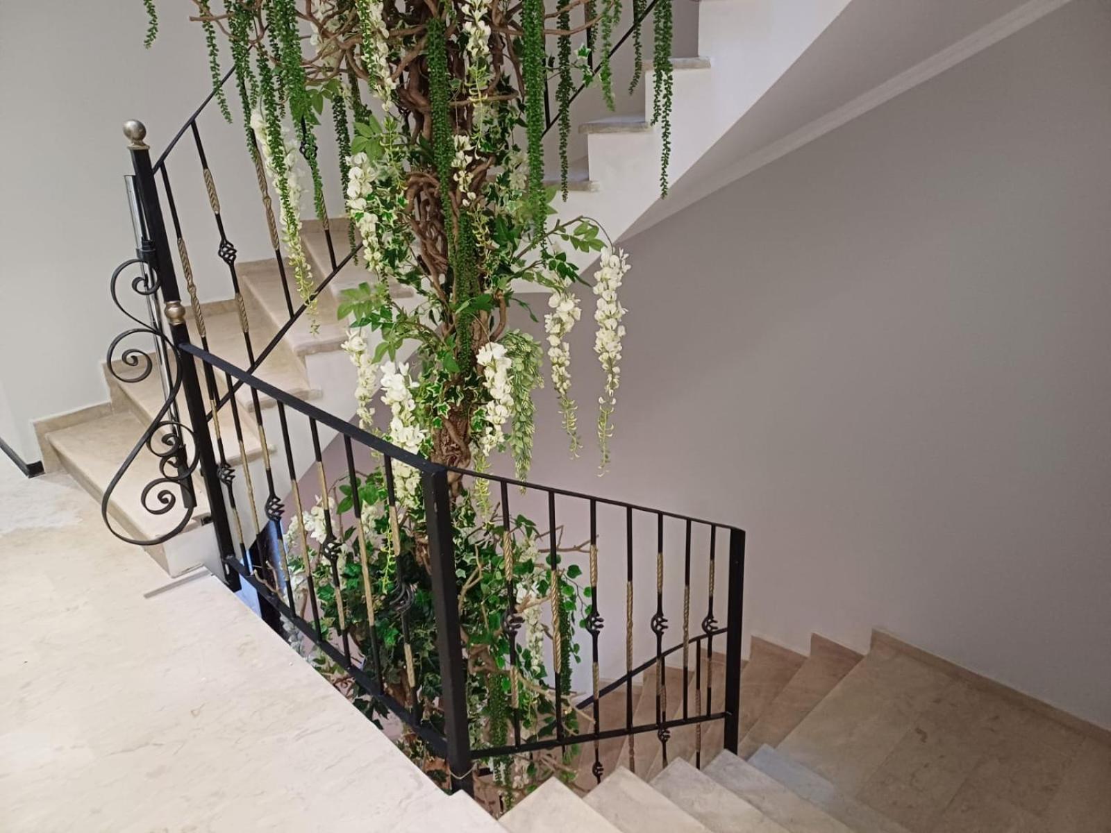 Oxygen Boutique Hotel Tirana Exterior photo